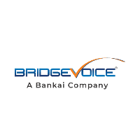 BridgeVoice Logo