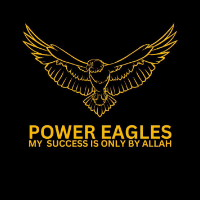Power Eagles Logo