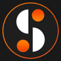 Synarion IT Solutions Logo