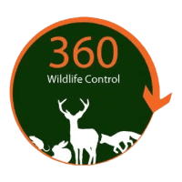 360 Wildlife Control Logo