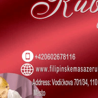 OREL Česko - Filipínská obchodní, sportovní a kulturní komora z. s. , Ústí nad Labem IČO 22823182 - Obchodní rejstřík firem Logo