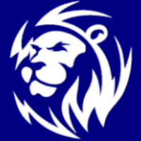 Lion Digital Marketing Co ltd Logo