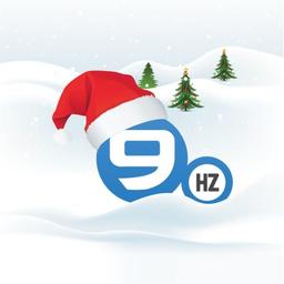 The NineHertz Logo