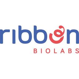Ribbon Biolabs Logo
