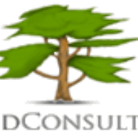 Allied Consultant Logo