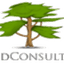 Allied Consultant Logo