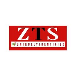 Zebra Techies Solution (ZTS):Creative Digital Marketing & Web Development Company in India Logo