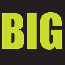BIG PICTURE® Logo