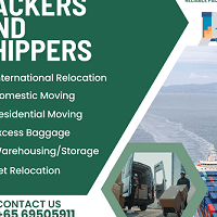 Packersandshippers Logo