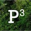 P3 Audit Logo