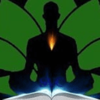 SVC Healthcare and Educational Management Services LLP Logo