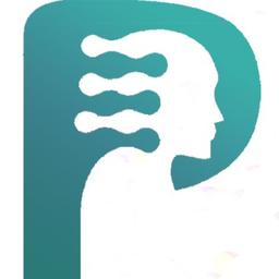 Platform Executive Pty Ltd Logo