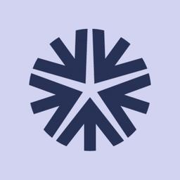 Five Star International Logo