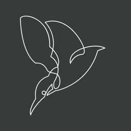 Kingfisher Professional Services Logo