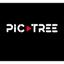 PIC TREE Logo