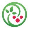 Rowanvale Books Logo