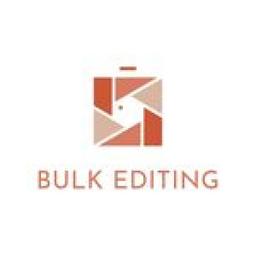 Bulk Editing Logo