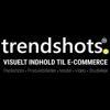 Trendshots ApS Logo