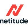 Netitude Ltd | Technology Experts | Microsoft Gold Partner Logo
