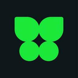 Kocho Logo