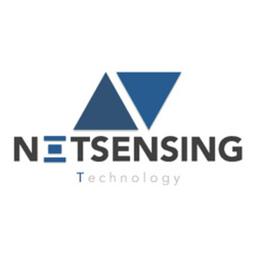 Netsensing Technology Logo
