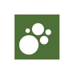 Psychological Safety Institute Logo