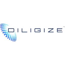 Diligize Logo