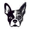 Boston AI Logo