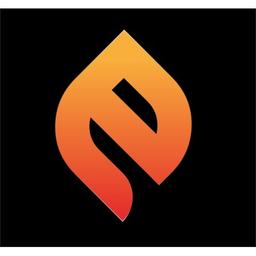 Expert Fire Solutions Ltd Logo