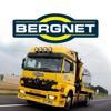 Bergnet Logo