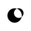 FlowSpace Logo