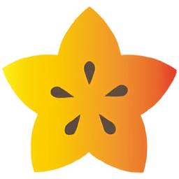 HK XING LAN CO., LIMITED Logo