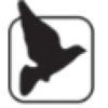 Blackbird Corporate Ltd Logo
