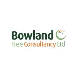 Bowland Tree Consultancy Ltd Logo