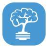 brainsfeed Logo