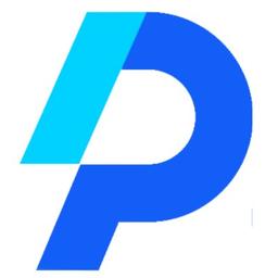 Panzi Digital Agency Logo