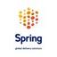 Spring GDS - Global Logo