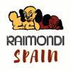 Raimondi Spain, S.L. Logo
