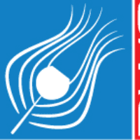 Dwarika Web Solutions Inc Logo