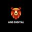 ANS Digital Logo
