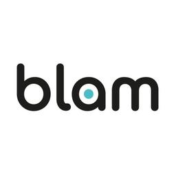 Blam Websites | Digital Marketing Franchise Logo