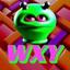 WXY Logo