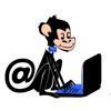 Snob Monkey Ltd Logo
