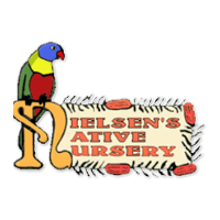 Nielsen’s Native Nursery Logo