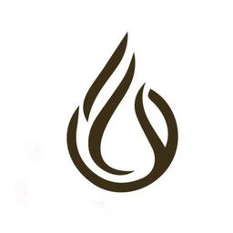 Firelux Holdings Ltd Logo