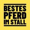 Bestes Pferd im Stall Logo