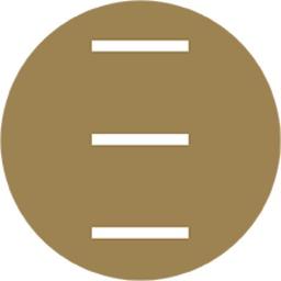 Levelus Logo