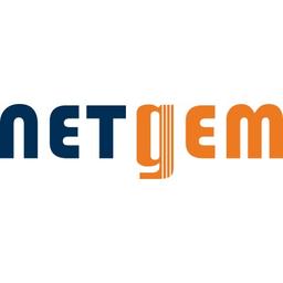Netgem Logo
