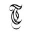 Topweb Limited Logo