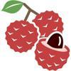 Digital Lychee Logo